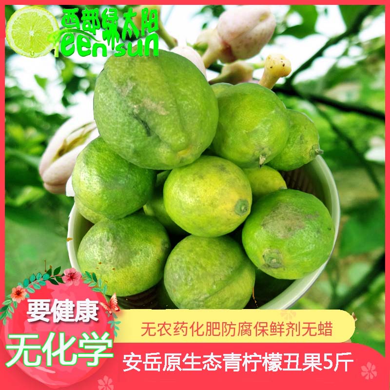 原生态现摘现卖无防腐保鲜剂无蜡
