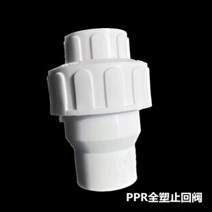 PPR止回阀 4分单向阀6分1寸塑料立式逆止阀热熔阀门20/25水管配件