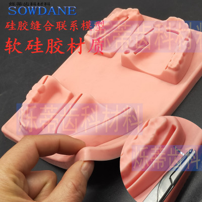 牙科缝合口腔练习模型 种植手术切开缝合操作实训 齿科缝合术练习