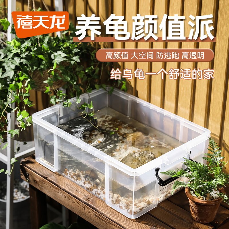 禧天龙乌龟周转箱高透