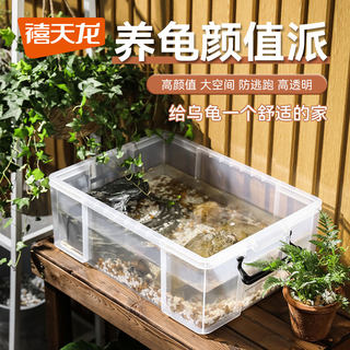 禧天龙乌龟周转箱家用过滤造景塑料专养龟缸养鱼养殖箱透明收纳箱