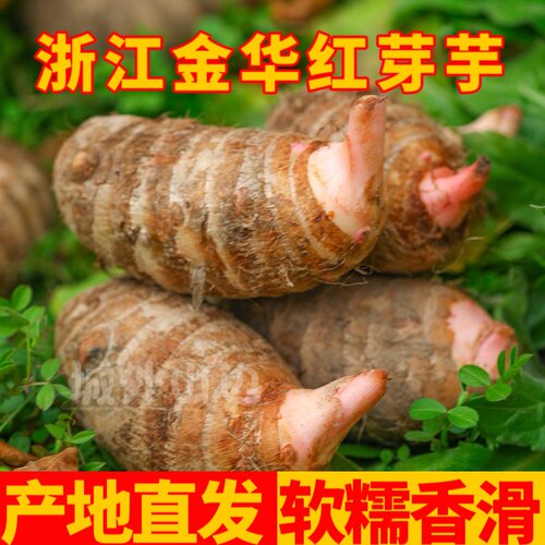 浙江金华红芽芋头新鲜现挖红牙头芋艿仔粉软糯香农家小香芋5斤3斤