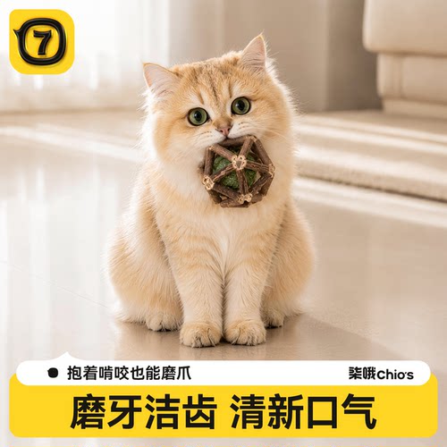 木天蓼逗猫棒自嗨解闷磨牙猫玩具