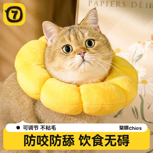 伊丽莎白圈猫咪绝育项圈