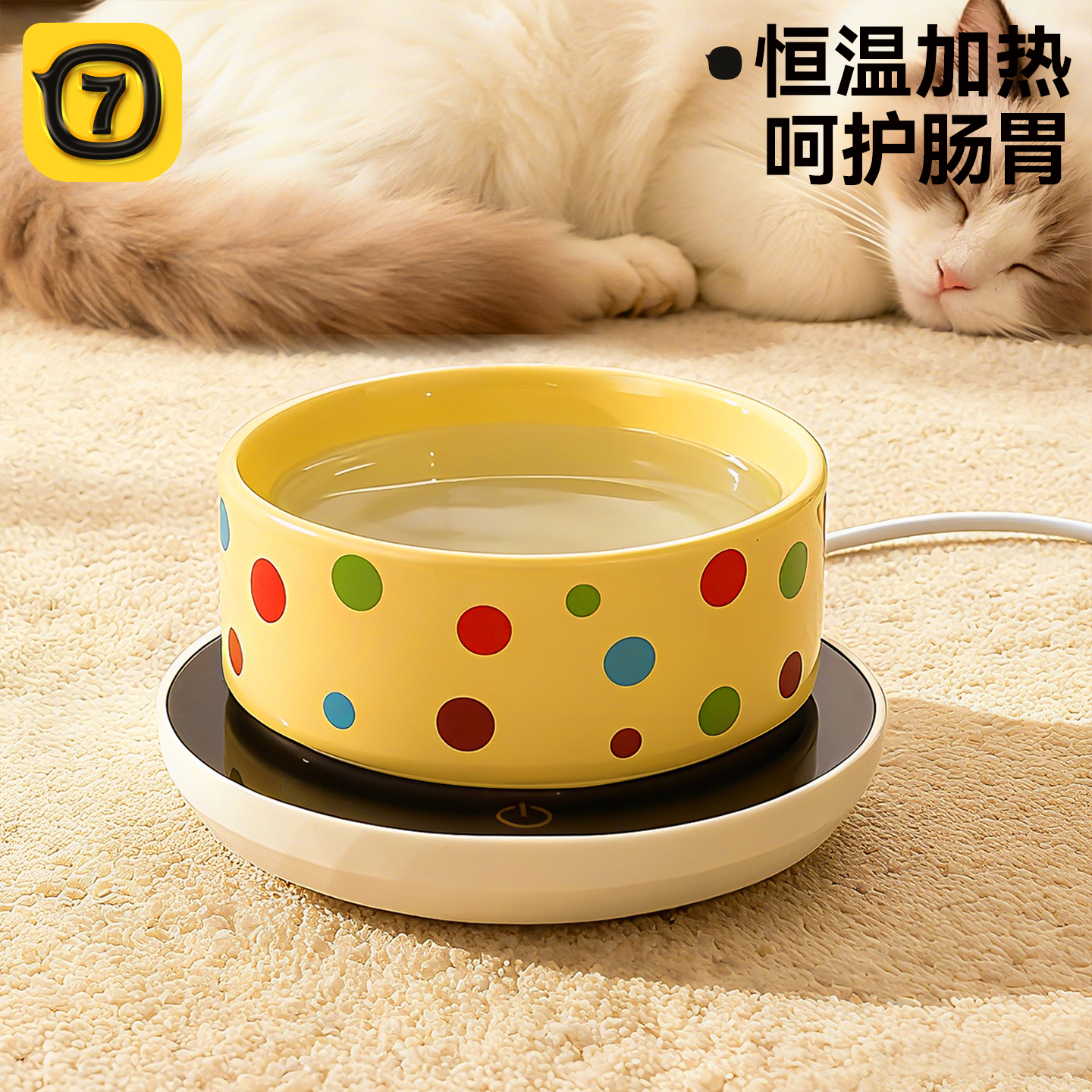 恒温猫咪饮水机酸奶机