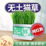 [Рекомендуется Xiaohongshu!】 Ленивые люди без земли