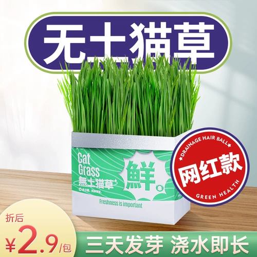 [Рекомендуется Xiaohongshu!】 Ленивые люди без земли