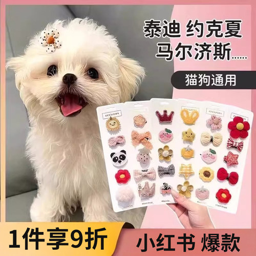 【小红书同款】宠物发夹超绝可爱