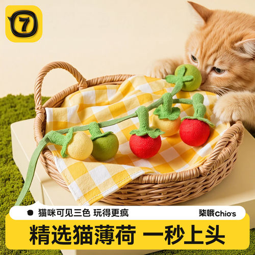 猫玩具小番茄柿子串逗猫棒