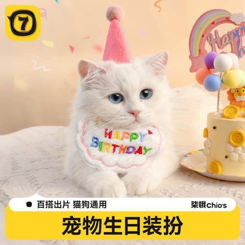 狗狗口水巾围兜狗狗配饰猫咪生日装扮小狗蛋糕围脖装饰品围嘴帽子