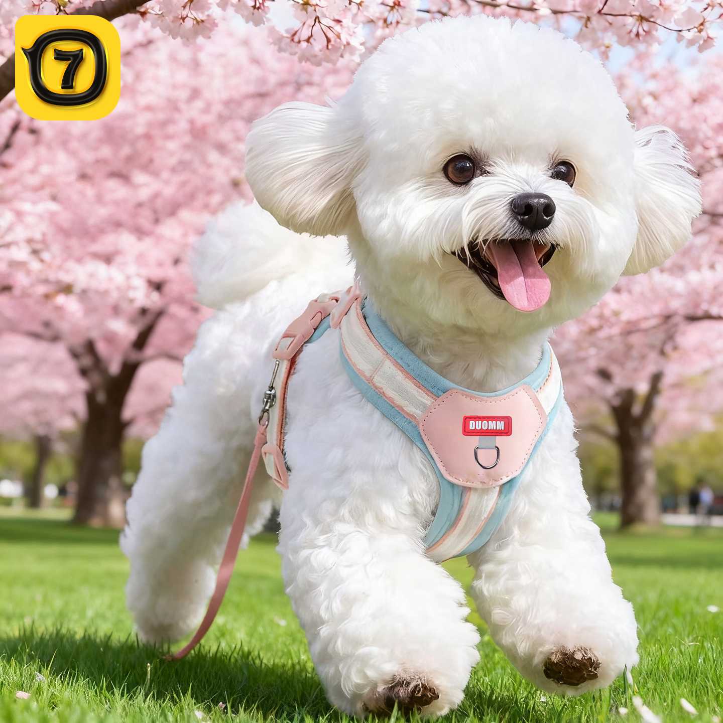 【小红书种草】小狗胸背