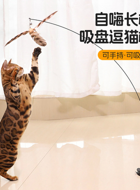 猫玩具吸盘逗猫棒猫咪自嗨解闷神器懒人自动逗猫棒羽毛带铃铛耐咬