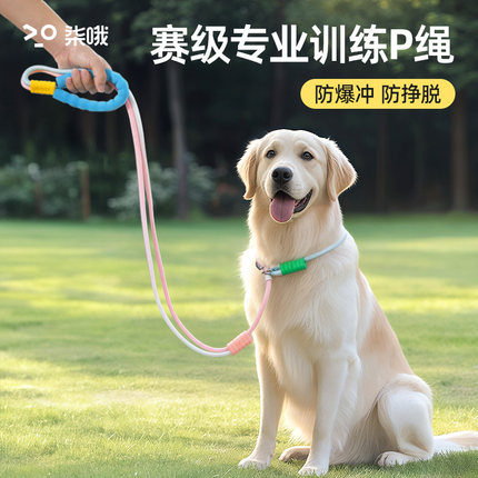 p链P绳狗狗牵引绳防爆冲防挣脱中小型犬大型犬拴狗绳套脖遛狗神器