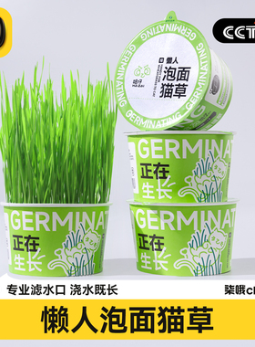 哈仔懒人泡面猫草盆栽水培盆排毛零食狗草自种成猫狗化毛草种植盆