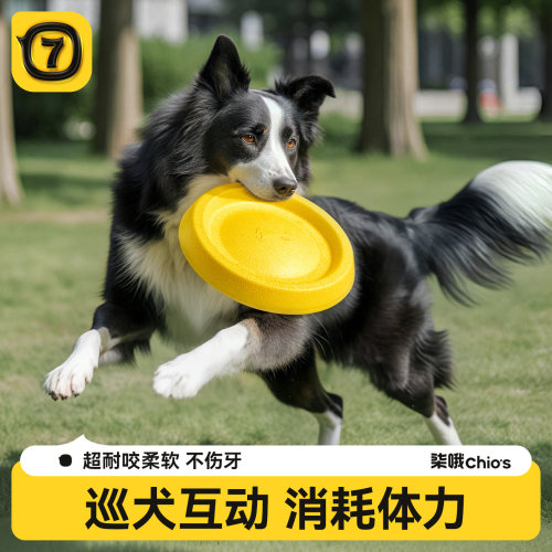 柒哦宠物狗训练专用软飞盘