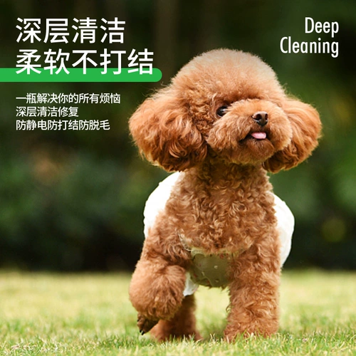 Гель для душа для собак дезодорант и зуд, купание лучше, чем медведь Тедипи Кот Специальные домашние ароматы душевые продукты для душа душа