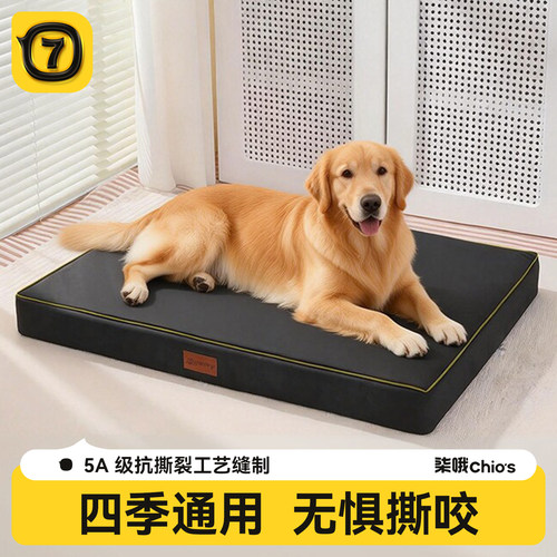 【专业证书检测】四季通用狗垫子