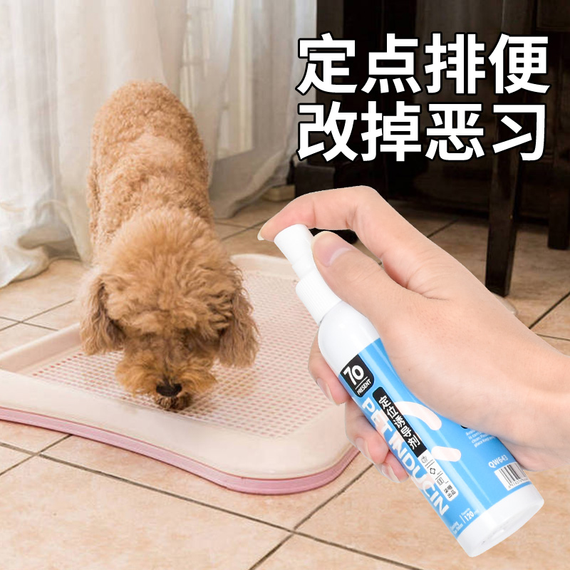 狗厕所诱导剂大小便训练宠物定点