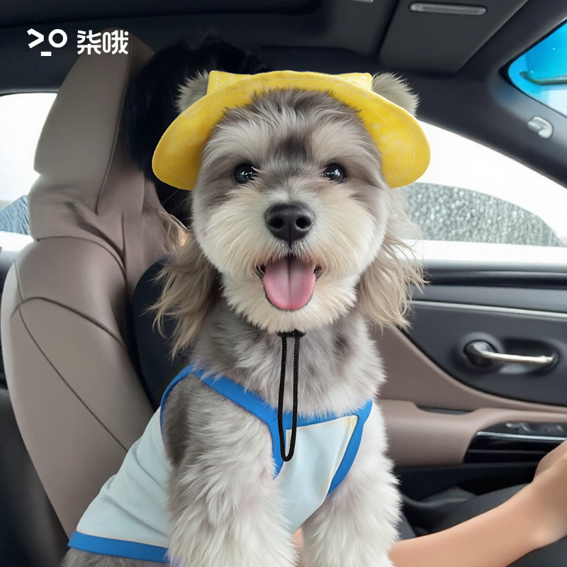 狗狗露耳朵卡愛漁夫帽