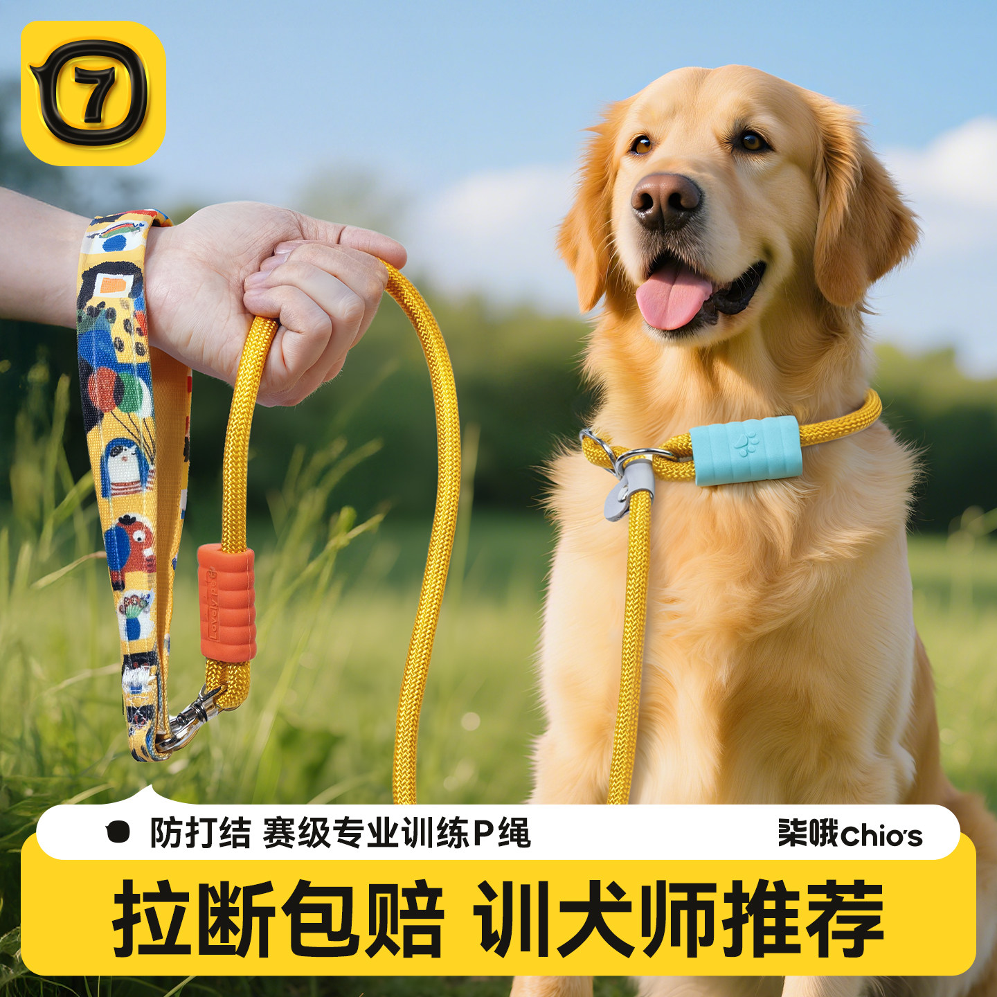 p链p绳狗狗牵引绳遛狗链子小中大型犬训犬防爆冲打结金毛宠物用品