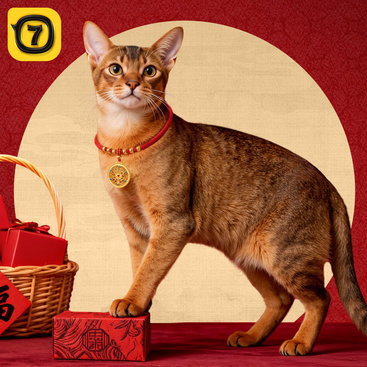 柒哦猫咪新年项圈德文猫阿比尼西亚项链红绳衣服装饰宠物配饰挂饰,宠物/宠物食品及用品,项圈/肩带,淘宝优惠券,粉丝福利购,淘宝优惠卷