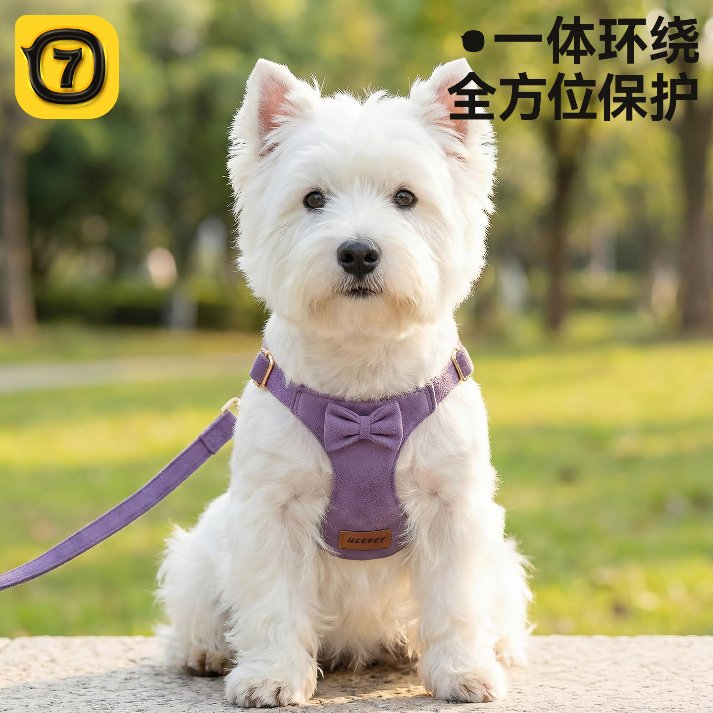 【幼犬专用】狗狗牵引绳