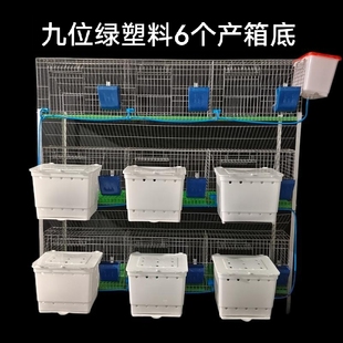 子母笼免清粪 兔笼子养殖兔子笼专用笼兔子笼子带产箱家用大号新式