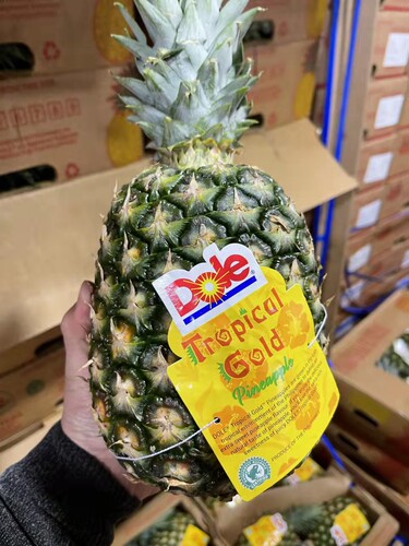 沈阳发货Dole都乐金菠萝有冠凤梨纯甜多汁新鲜水果辽宁省包邮