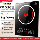 induction steaming cooker stove electromagnetic 110V220V