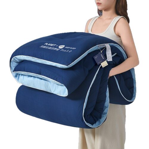 A-class Planet Hotel Deep Sleep Four Seasons Pro3.0 Double L