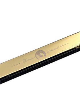 Harmonica beginner, advanced children's 24 hole polyphonic c