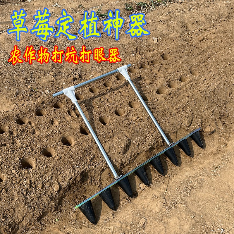 栽草莓神器农用打窝打孔打眼移栽挖坑工具大棚种植打洞4孔8孔裁苗