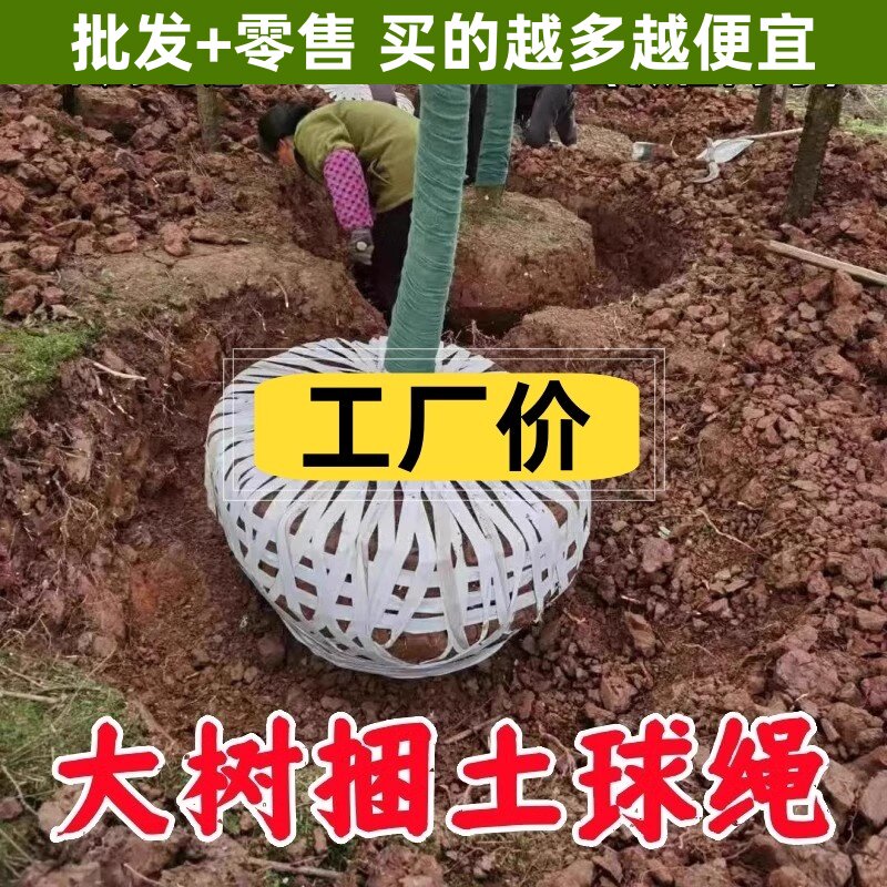 捆土球布条打包带绑枝白色桔柑布拉移植缠树根包裹扎绳子包装苗木