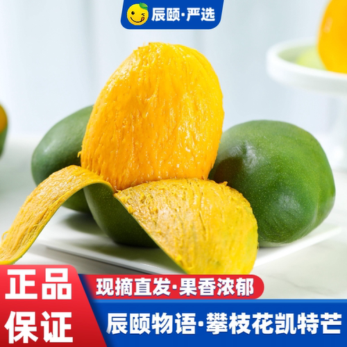 辰颐物语攀枝花芒凯特芒桂七芒果金煌芒果贵妃芒甜芒果热带果现摘