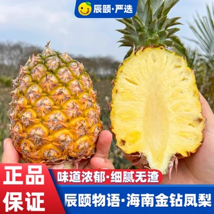 辰颐物语海南金钻凤梨中果4.5-5斤应季水果现摘直发坏果理赔包邮