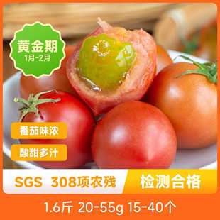 辰颐物语福建春桃草莓小番茄圣女果小柿子新鲜孕妇水果现摘包邮