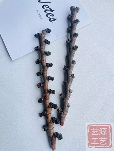 进口巴西布里蒂树枝天然棕色系植物干花装饰原生缸南美缸造景树枝