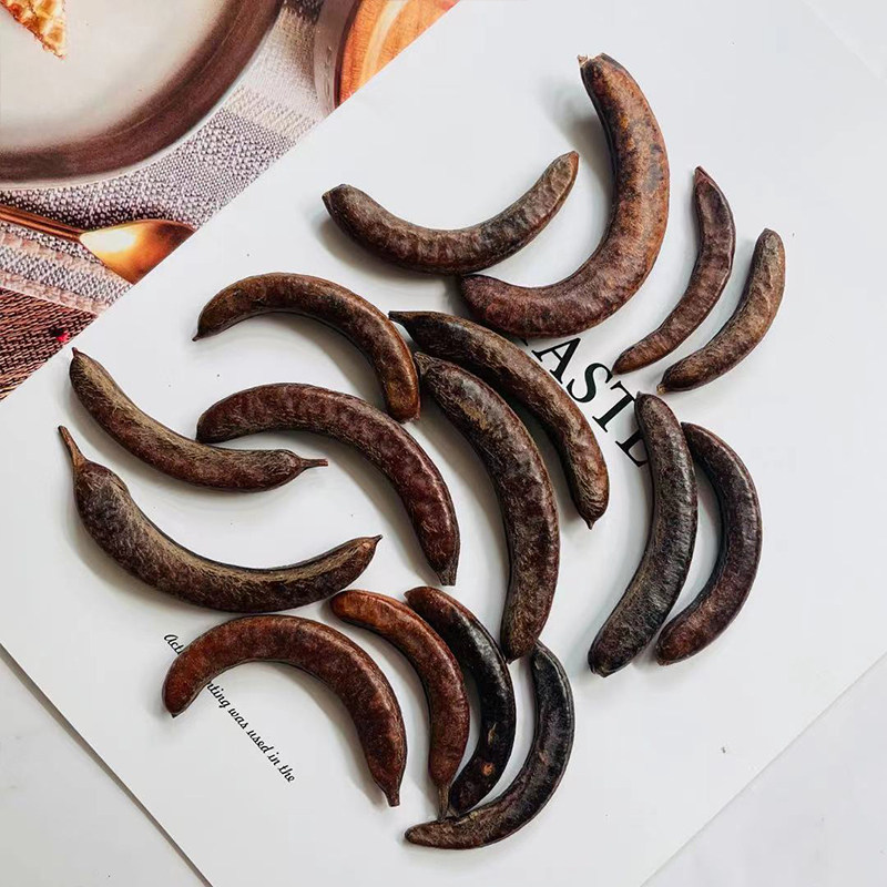 【皂荚果】植物标本果实果壳 创意复古干花环相框diy材料 幼儿园,家居饰品,干花/花瓣/干花包/干树枝,淘宝优惠券,粉丝福利购,淘宝优惠卷