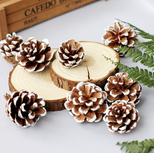 热销新品圣诞雪花银色diy松果