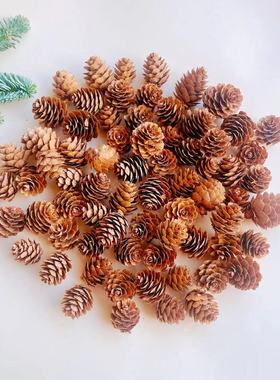 落叶松花小松果装饰松塔野生儿童手工创意手工diy幼儿园摆件材料