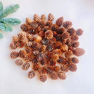 落叶松花小松果装饰松塔野生儿童手工创意手工diy幼儿园摆件材料