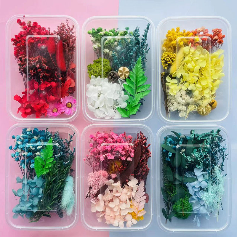 混装永生花diy材料包手工干花相框天然植物标本尤加利叶迷你玫瑰