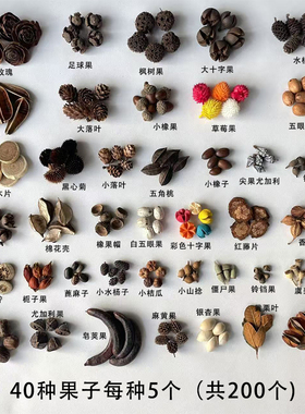 天然果实橡果松果手工diy耳饰果子1-3cm 圣诞松果幼儿园环创材料