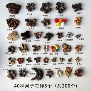 天然果实橡果松果手工diy耳饰果子1 圣诞松果幼儿园环创材料 3cm