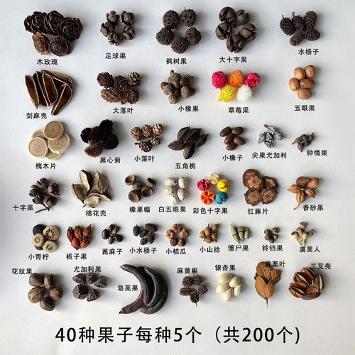 天然果实橡果松果手工diy耳饰果子1-3cm 圣诞松果幼儿园环创材料