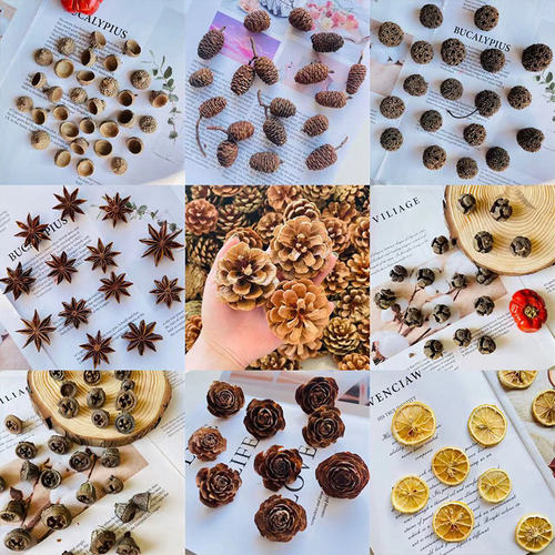 松果创意手工diy材料森系橡果柠檬片松塔幼儿园环创圣诞装饰棉花