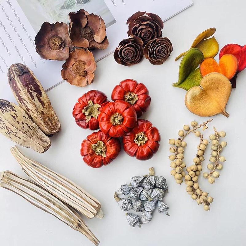 植物干燥果实果壳树叶 天然进口原材料 菩提叶干花包大地农园辅材,家居饰品,干花/花瓣/干花包/干树枝,淘宝优惠券,粉丝福利购,淘宝优惠卷