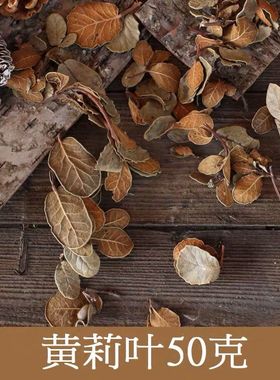 天然树叶干花干青冈叶书签植物贴画标本拍摄背景道具diy枯叶梨叶