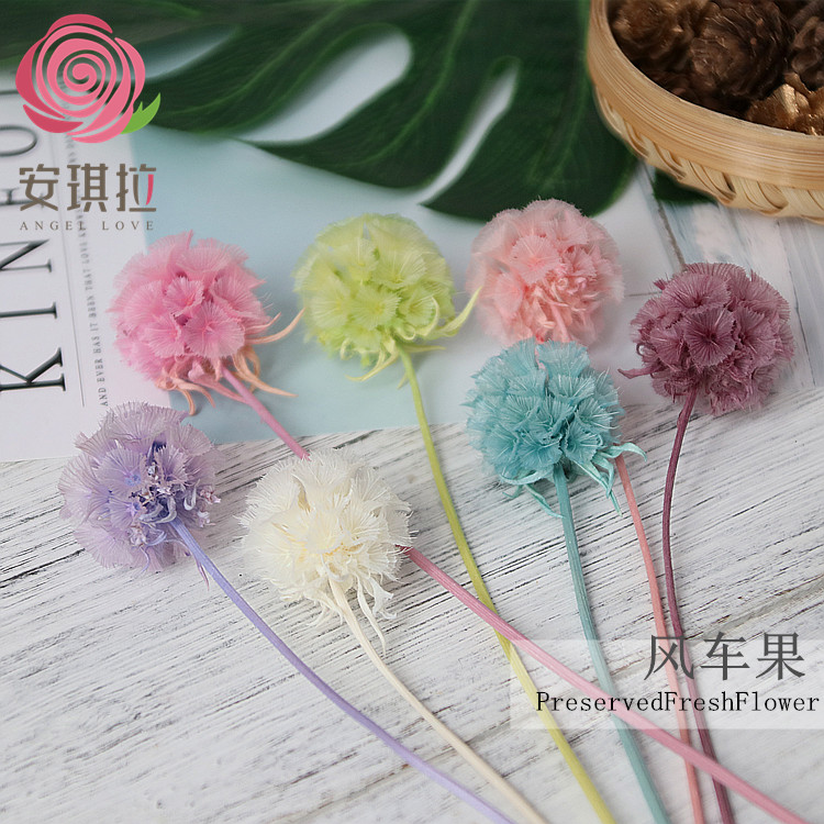 ÓÀÉú»¨²£Á§ÕÖÀñºÐÀñÆ·Ëɳæ¹û·ç³µ¹û¸É»¨·ÂÕæ»¨diy²ÄÁϰüÊÖ¹¤ÖÆ×÷