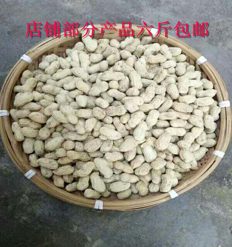 ÐÂË®Öó»¨ÉúÔζũ¼ÒÏ̸ÉÌìȻɹ¸É»¨Éú500g ¹ã¶«ºÓÔ´ºÍƽ¿Í¼ÒÌØ²ú